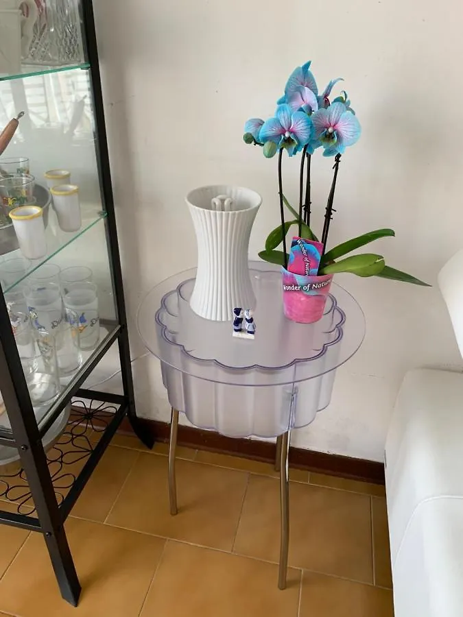 Pampero & Catona House Apartment Pisa Italy